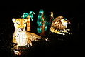 DSC00361 - Bernhard Saalfeld