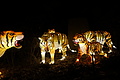 DSC00362 - Bernhard Saalfeld