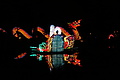 DSC00364 - Bernhard Saalfeld