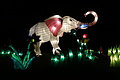 DSC00383 - Bernhard Saalfeld