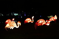 DSC00402 - Bernhard Saalfeld