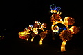 DSC00406 - Bernhard Saalfeld