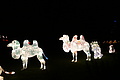 DSC00408 - Bernhard Saalfeld