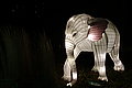 DSC01932 - Bernhard Saalfeld