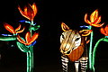 DSC01963 - Bernhard Saalfeld