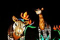 DSC01964 - Bernhard Saalfeld