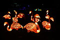 DSC02012 - Bernhard Saalfeld