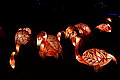 DSC02014 - Bernhard Saalfeld