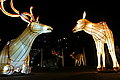 DSC02025 - Bernhard Saalfeld