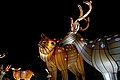 DSC02028 - Bernhard Saalfeld