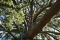 DSC01849 - Bernhard Saalfeld