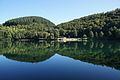 DSC01852 - Bernhard Saalfeld