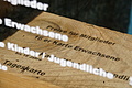 DSC01855 - Bernhard Saalfeld