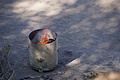 DSC01859 - Bernhard Saalfeld