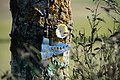 DSC01863 - Bernhard Saalfeld