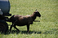 DSC01864 - Bernhard Saalfeld