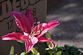 DSC01878 - Bernhard Saalfeld