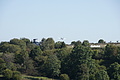 DSC01887 - Bernhard Saalfeld