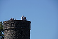 DSC01901 - Bernhard Saalfeld
