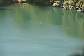 DSC01915 - Bernhard Saalfeld