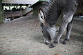 DSC01967 - Bernhard Saalfeld