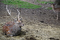 DSC01977 - Bernhard Saalfeld