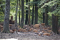 DSC01985 - Bernhard Saalfeld