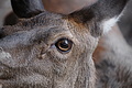 DSC01987 - Bernhard Saalfeld