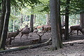 DSC01992 - Bernhard Saalfeld