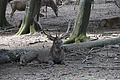 DSC01993 - Bernhard Saalfeld