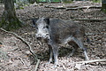 DSC01999 - Bernhard Saalfeld