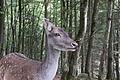 DSC02000 - Bernhard Saalfeld
