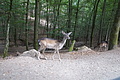 DSC02003 - Bernhard Saalfeld