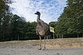 DSC02005 - Bernhard Saalfeld