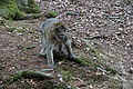 DSC02026 - Bernhard Saalfeld