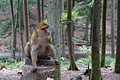DSC02028 - Bernhard Saalfeld