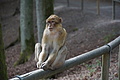 DSC02030 - Bernhard Saalfeld
