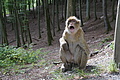 DSC02032 - Bernhard Saalfeld