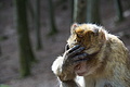 DSC02035 - Bernhard Saalfeld