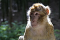 DSC02042 - Bernhard Saalfeld