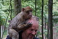 DSC02043 - Bernhard Saalfeld