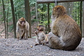 DSC02048 - Bernhard Saalfeld