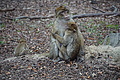 DSC02050 - Bernhard Saalfeld