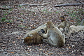 DSC02053 - Bernhard Saalfeld