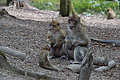 DSC02061 - Bernhard Saalfeld