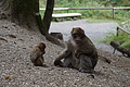 DSC02063 - Bernhard Saalfeld