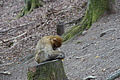 DSC02064 - Bernhard Saalfeld