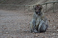 DSC02068 - Bernhard Saalfeld