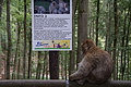 DSC02069 - Bernhard Saalfeld