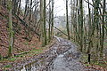 DSC02915 - Bernhard Saalfeld